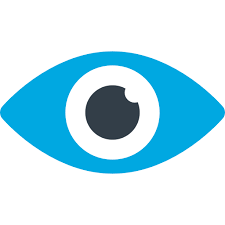 Our Vision
